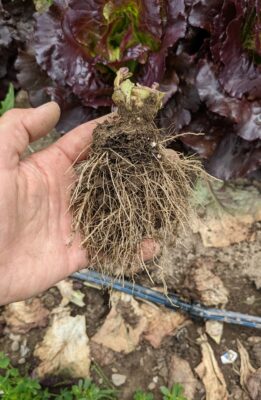 PXL_20220708_181610176~2