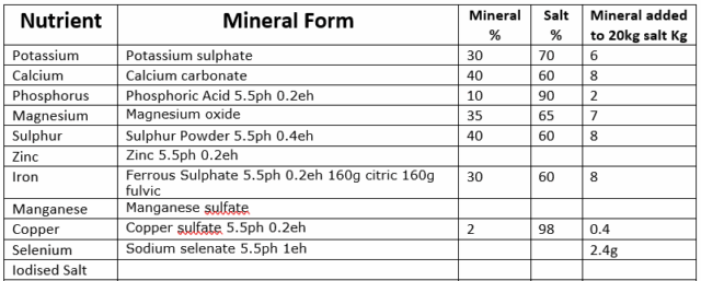 Screenshot 2022-06-25 075159