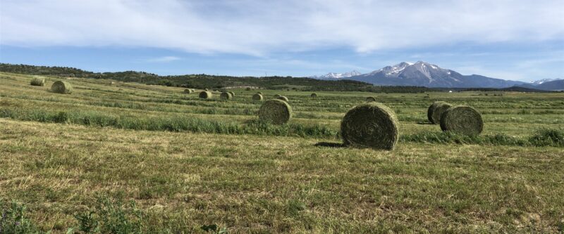 bales in front of Sopris