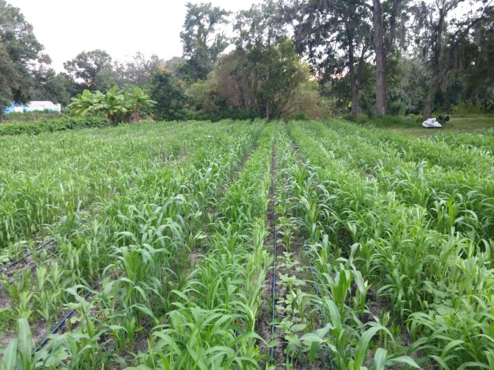 IMG_20210809_195206271_BURST000_COVER_TOP