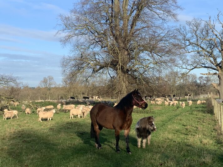 C53138D7-DADE-4639-8257-06B332735056