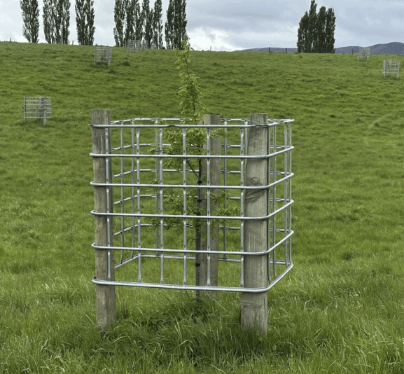 Screenshot 2024-11-26 at 14.44.39