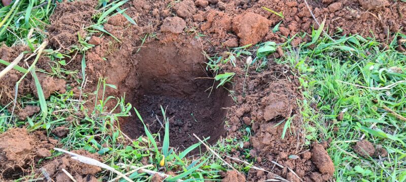 20230414_151246-1500x675