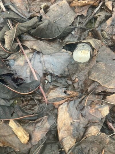 thumbnail_image10