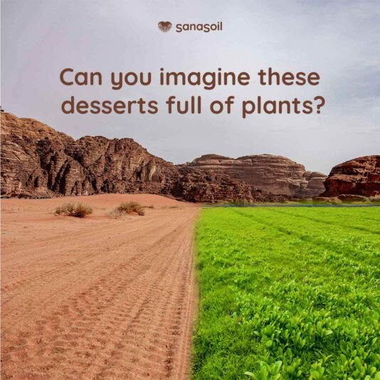 SANASOIL POTENTIAL 1