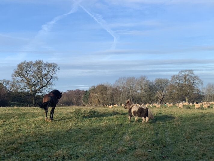 4BF4C560-34C8-419A-89C5-C8B6BC1DD201