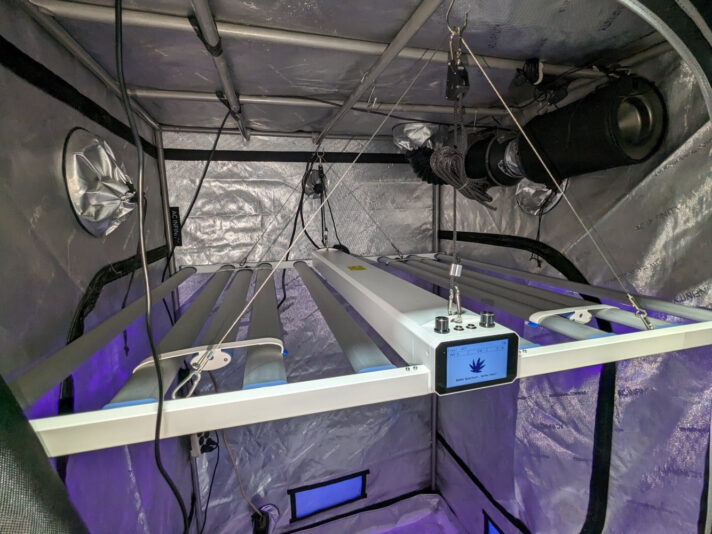PXL_20231030_175913194