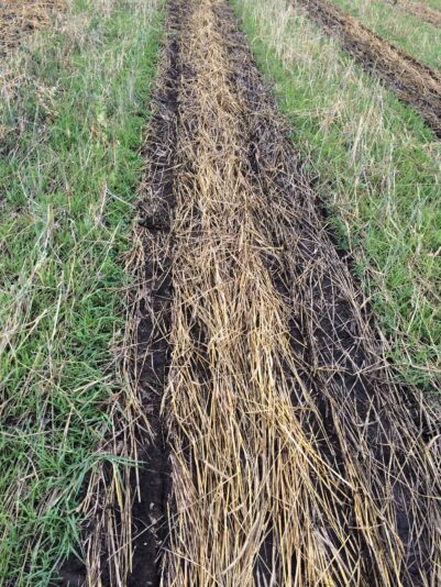 313E0551-3E61-434F-BBFA-BB2BEBEEB4A1