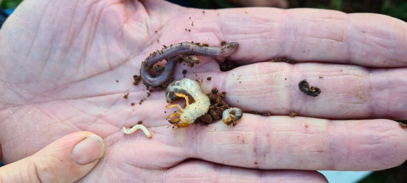 20230414_151055-1500x675