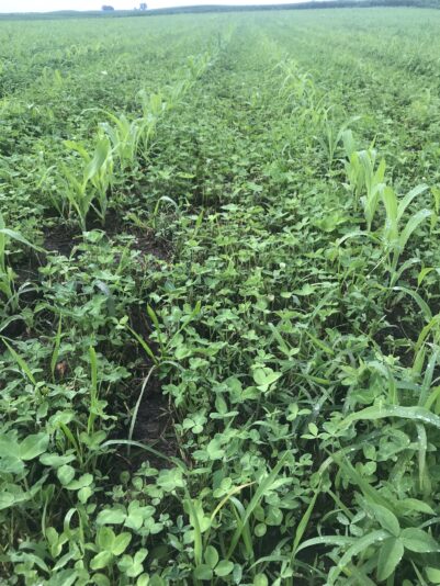 8C509DAB-80E4-4AD0-9465-07B22470725A