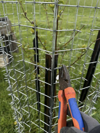 Screenshot 2024-11-26 at 14.42.47